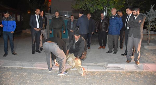 Yaralı 'gazi'yi kurbanla karşıladılar