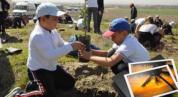 YEDİNCİ ORMAN DA TAMAM