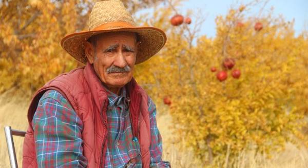 Yerli "Robinson Crusoe" Ziya Dede, adasında kışa hazırlanıyor