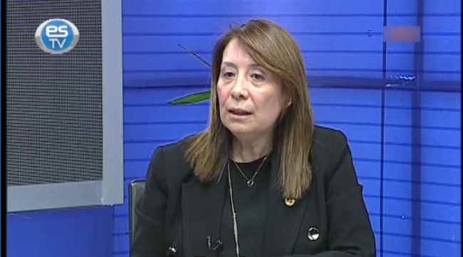 'Evet'in gerekçeelrini anlattı