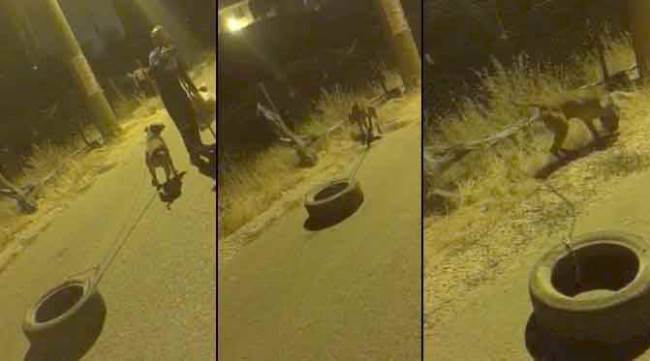 “Köpeğe spor yaptırıyorum”