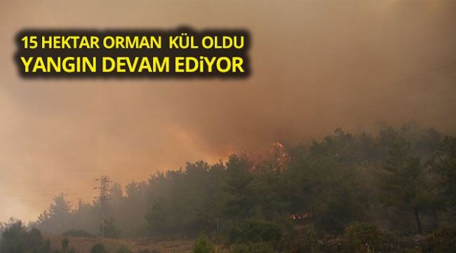15 hektar kül oldu, müdahale devam ediyor