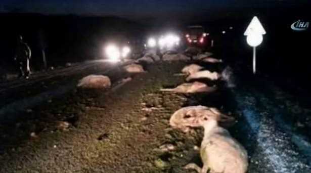 44 Küçükbaş hayvan telef oldu