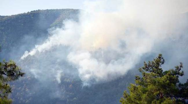 70 hektarlık ormanlık alan kül oldu