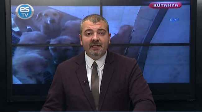 Aç köpekler birbirini mi yedi?