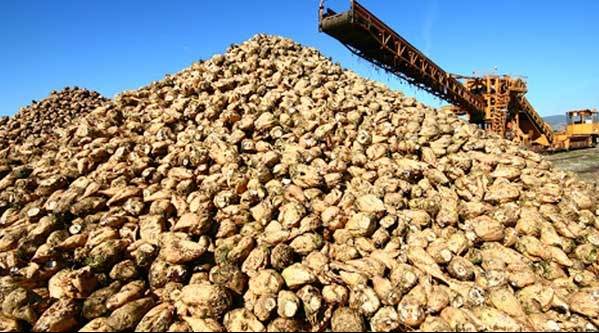 Açıklanmayan fiyatlar ve çözüm bekleyen nakil işlemi