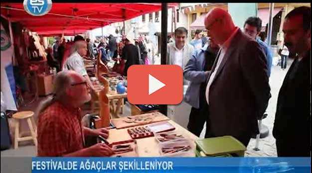 AĞAÇLAR ŞEKİLLENİYOR