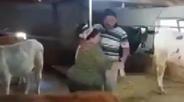 Ahırda dans eden çift izlenme rekorları kırdı