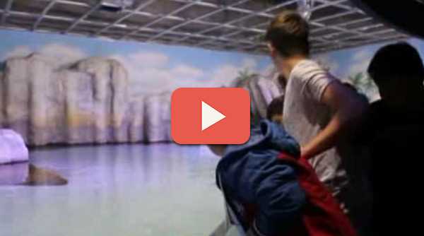 AKÇAKOCALI ÖĞRENCİLER SU DÜNYASI'NDA