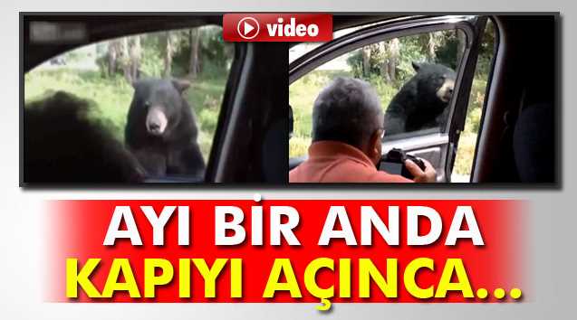 AYI BİR ANDA KAPIYI AÇINCA