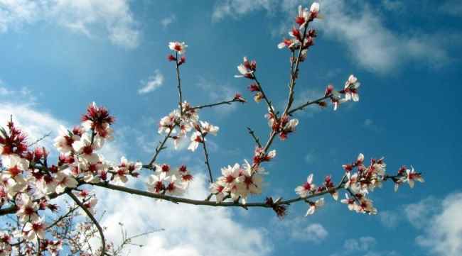 Bahar geldi ruh halimiz düzeldi