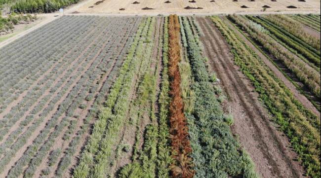 Bal üretimini iki katına çıkardılar!