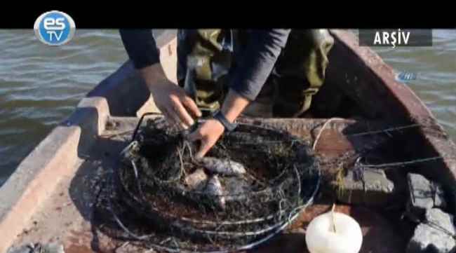 Balık ölümleri inceleniyor