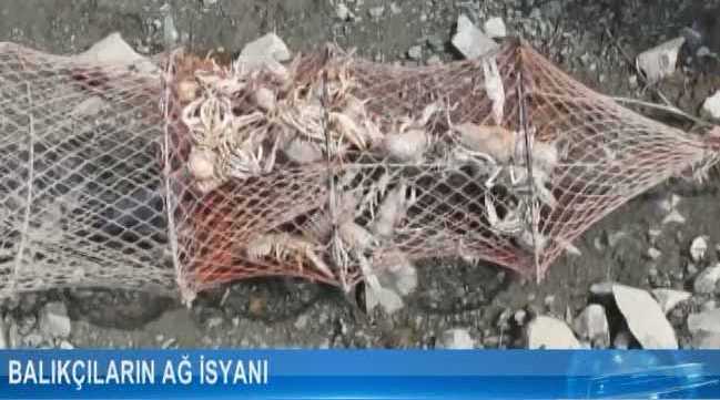 Balıkçıların ağ isyanı