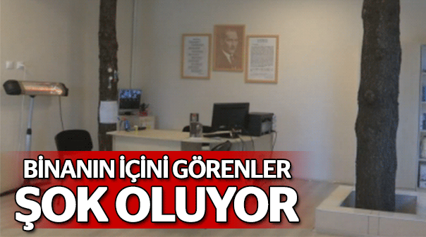 Bu binanın içini görenler şok oluyor