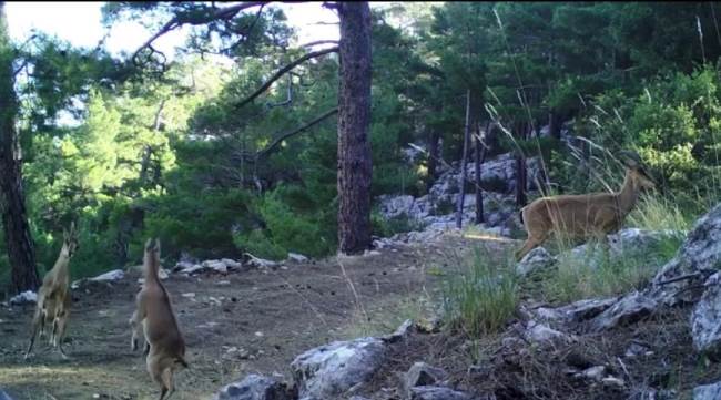 Bu görüntüler Eskişehir'den