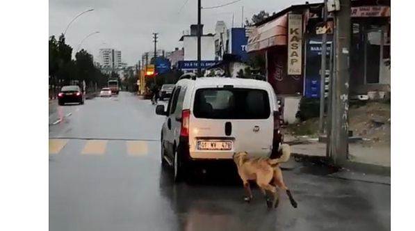 Bu görüntüye tepki yağdı!