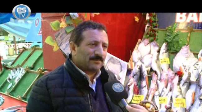 Bu kış hamsiye doyacağız