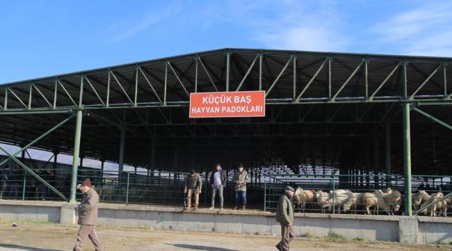 Büyükşehir'den üreticiye destek