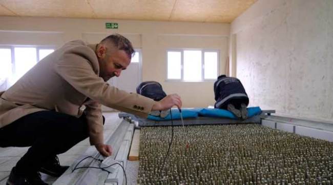 Büyükşehir dut fidanı üretimlerine devam ediyor