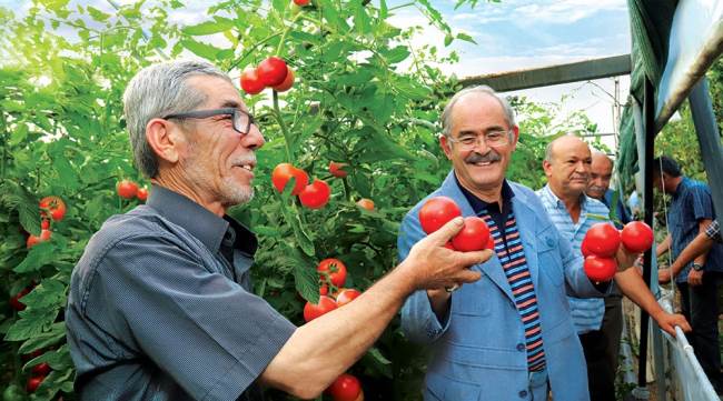 Büyükşehir üreticilere destek olmaya devam ediyor