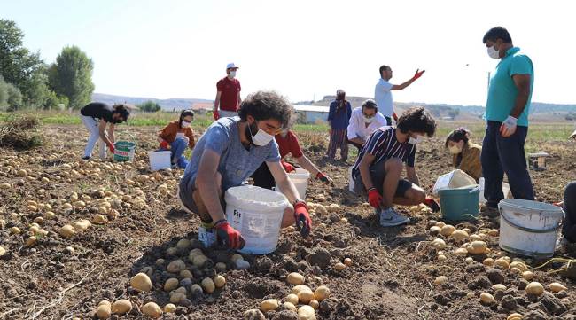 Büyükşehir üreticilere destek oluyor