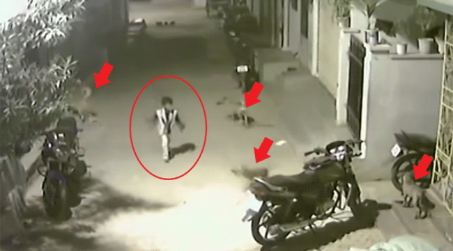 Cesur çocuk izlenme rekoru kırıyor