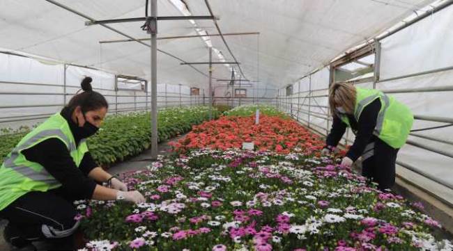 Daha yeşil bir Eskişehir için