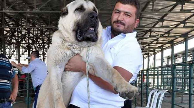 Değerini duyunca şaşkına döneceksiniz!