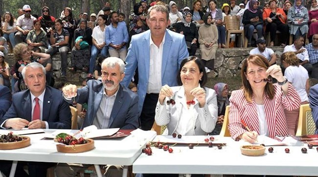 En iyi kirazı seçtiler