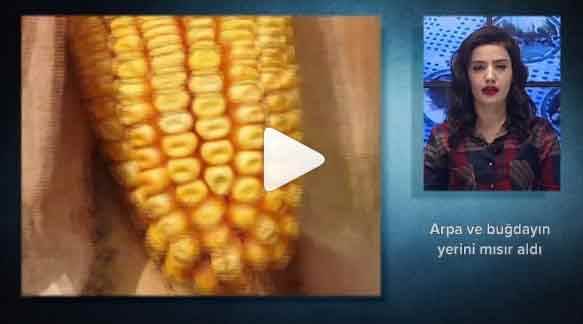 Eskişehir'de 1 - 31.10.2019