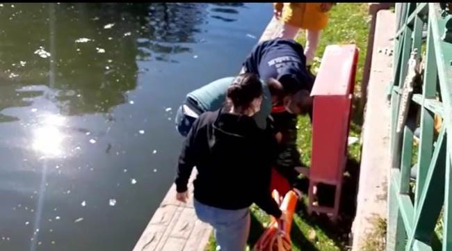 Eskişehir'de bir kadın porsuk'a düştü!