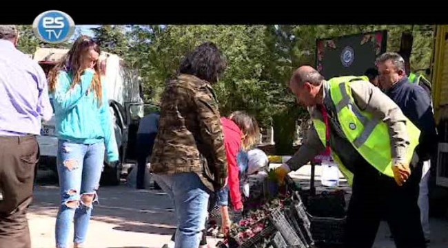 Eskişehir'de çiçek dağıtıldı