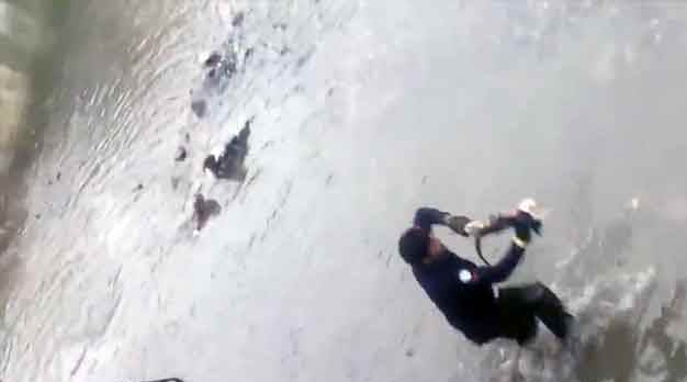 Eskişehir'de nefes kesen Porsuk'tan "kedi kurtarma" operasyonu!