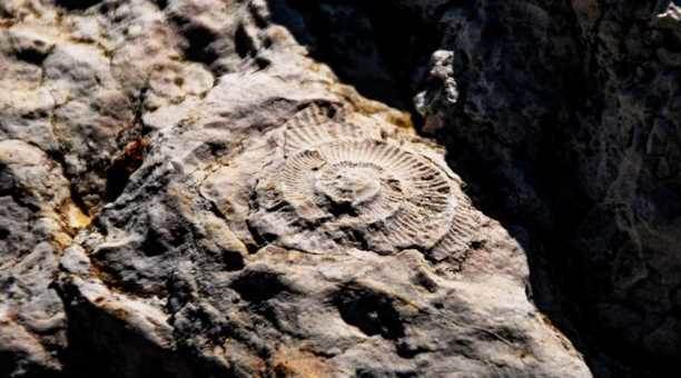 Eskişehir'de önemli keşif