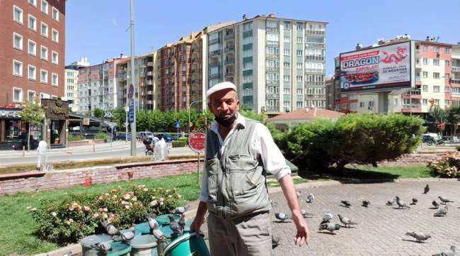 Eskişehir'de sokak hayvanları için mücadele