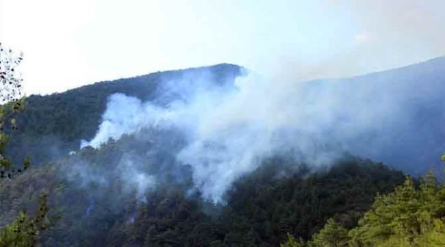 Eskişehir'deki orman yangını