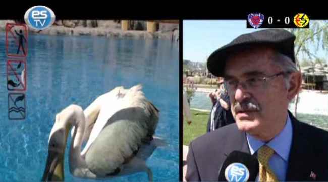 Eskişehir Hayvanat Bahçesi açıldı