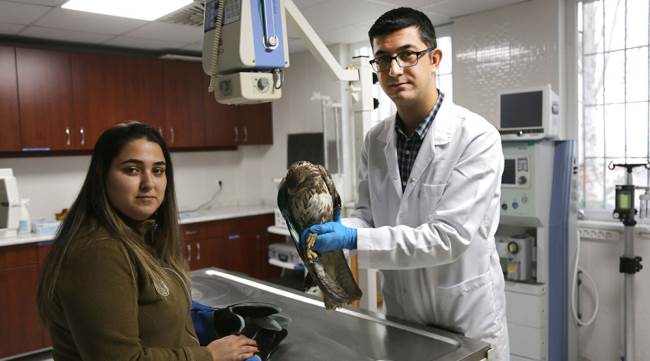 Eskişehir Hayvanat Bahçesin'den büyük hizmet