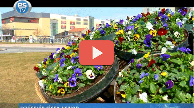 ESKİŞEHİR RENGARENK