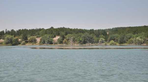 Eskişehir ve Türkiye'nin yeni gözdesi