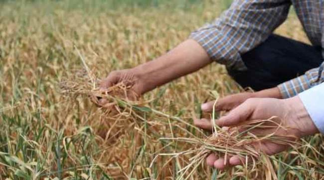 Fatura çok ağır oldu