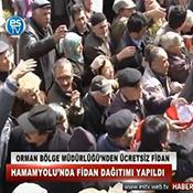 ORMAN BÖLGE MÜDÜRLÜĞÜ FİDAN DAĞITTI 