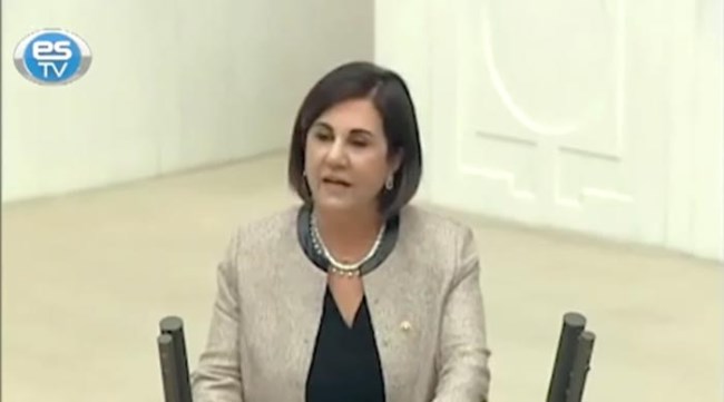 Gaye Usluer Meclis kürsüsünde konuştu