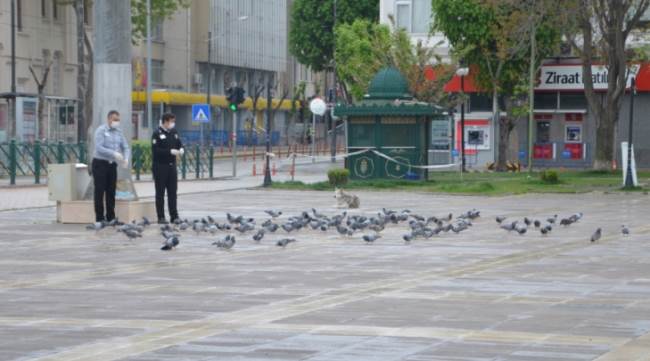 Görevliler sokak hayvanlarının yanından ayrılmıyor
