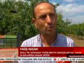 7 İlde Doludan Etkilenen Üreticilerin Borcu Erteleniyor 