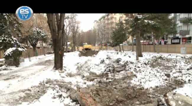 Hamamyolu'ndaki ağaçlar...