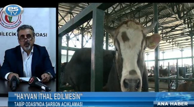 Hayvan ithal edilmesin