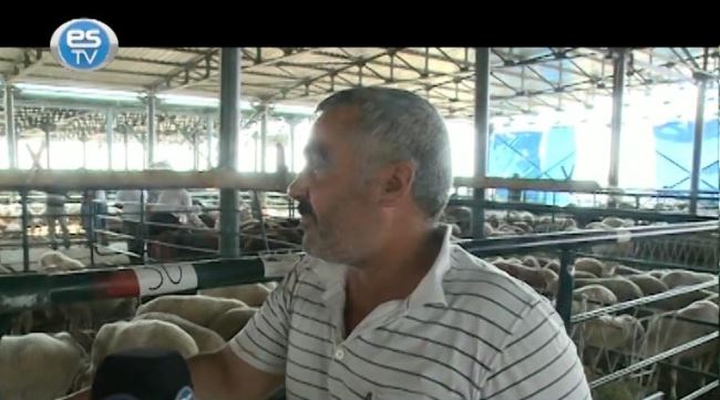 Hayvan pazarında kuru kalabalık