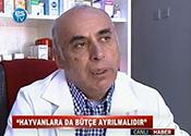 HAYVANLARA DA BÜTÇE AYRILMALIDIR